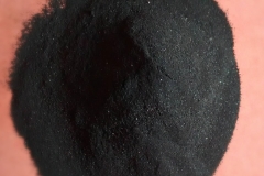 CARBON-MOLIDO